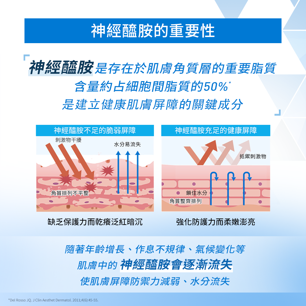 神經醯胺的重要性，含量約占細胞間脂質的50%